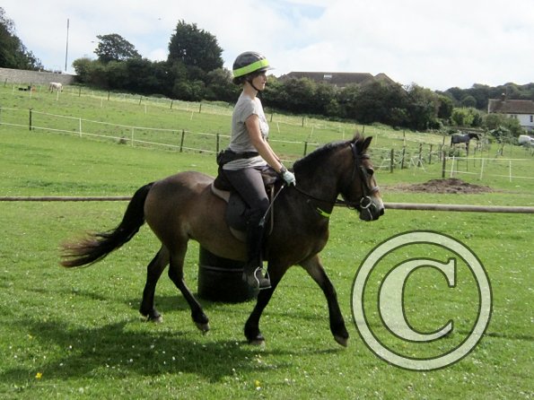 Appley flatwork  (3)