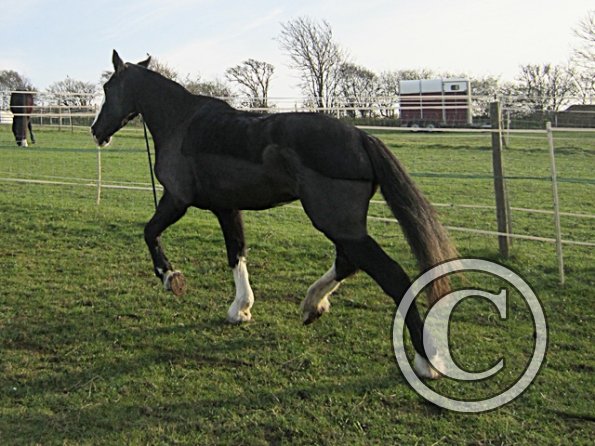 Little Miss Jessie (5)