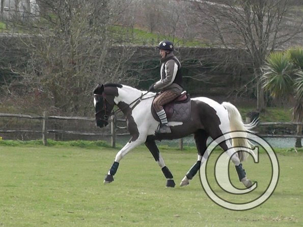 Anna messing about (7)