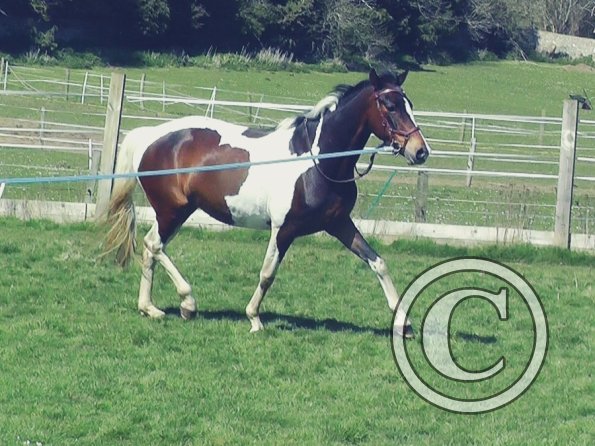 04-14-2015_125627(1)