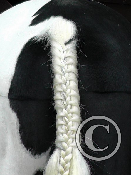 Plaited tail
