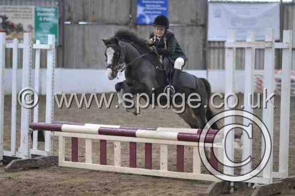 Golden X jumping (19)