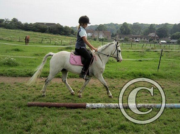 Chloe and Legend (12)