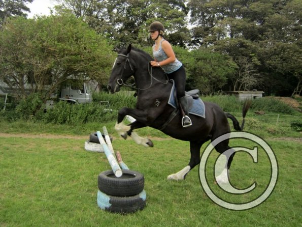 Jumping section (10)