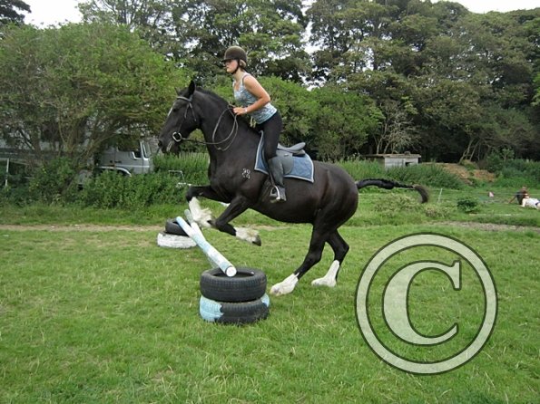 Jumping section (11)