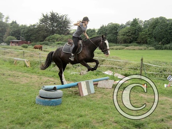 Jumping section (12)