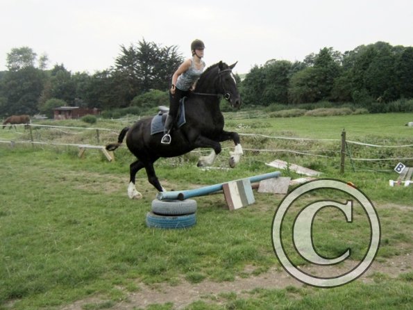 Jumping section (13)