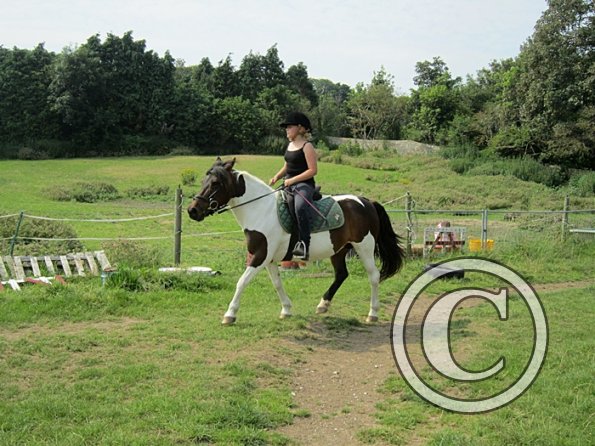 Ngaire and Tilly (2)