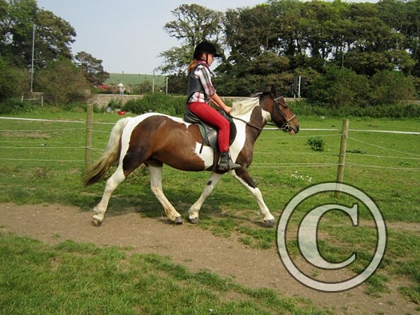 Serena and Lizzy (2)