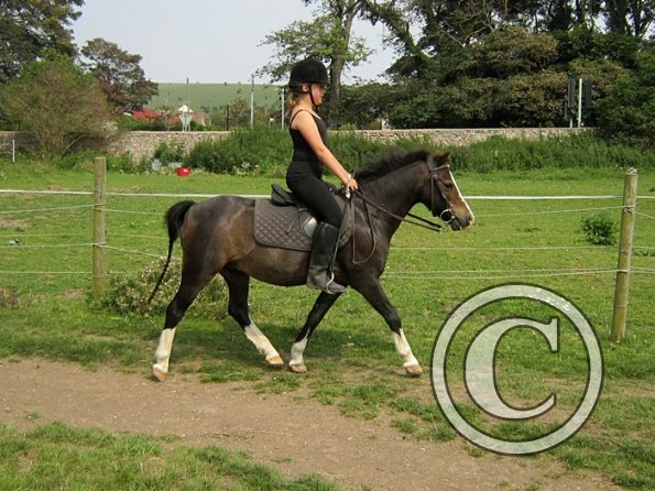 Veryan and Monty (2)