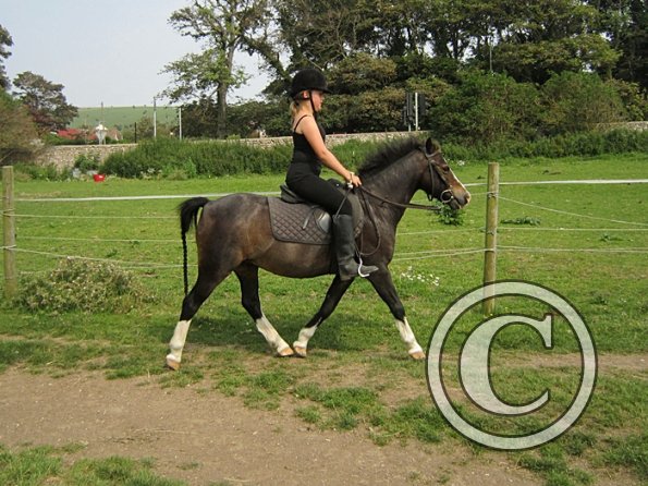 Veryan and Monty (3)