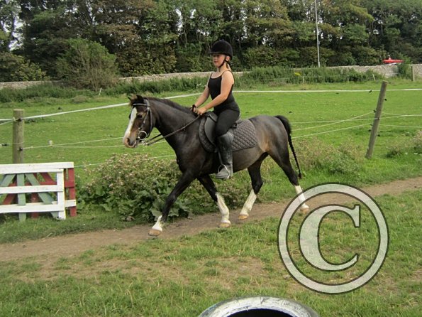 Veryan and Monty (4)