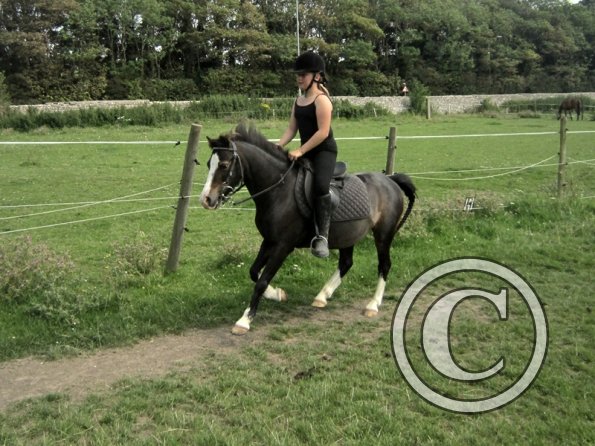 Veryan and Monty (5)