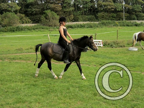 Veryan and Monty (6)