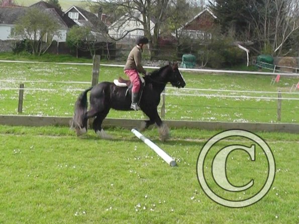 04-09-2014_130324(1)