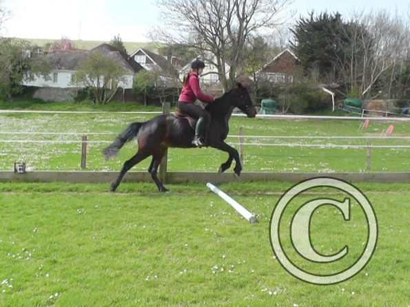 04-09-2014_130324(2)