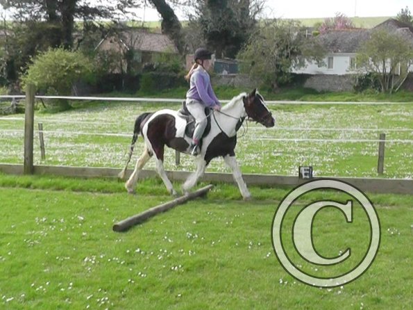 04-09-2014_130324(3)