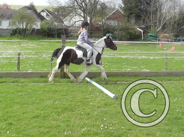 04-09-2014_130324(4)