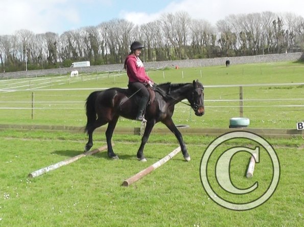 04-09-2014_130324(6)