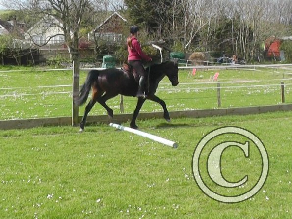 04-09-2014_130324(7)