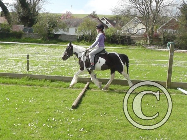 04-09-2014_130609(1)