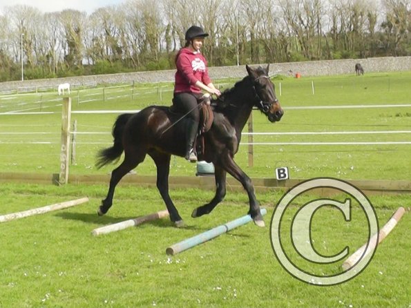 First jump clinic 2014 (10) - Copy