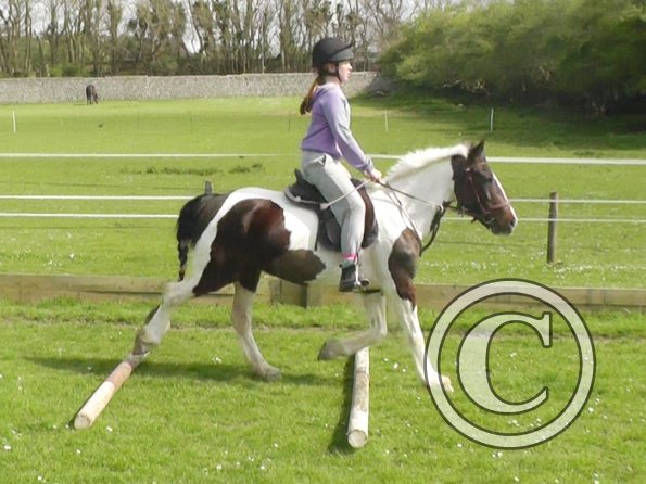 First jump clinic 2014 (11)