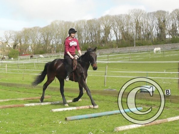 First jump clinic 2014 (12)