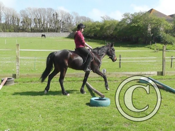 First jump clinic 2014 (13)