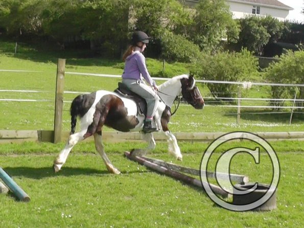 First jump clinic 2014 (14)