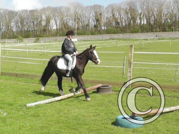 First jump clinic 2014 (15)