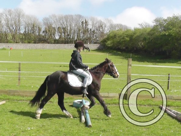 First jump clinic 2014 (16)