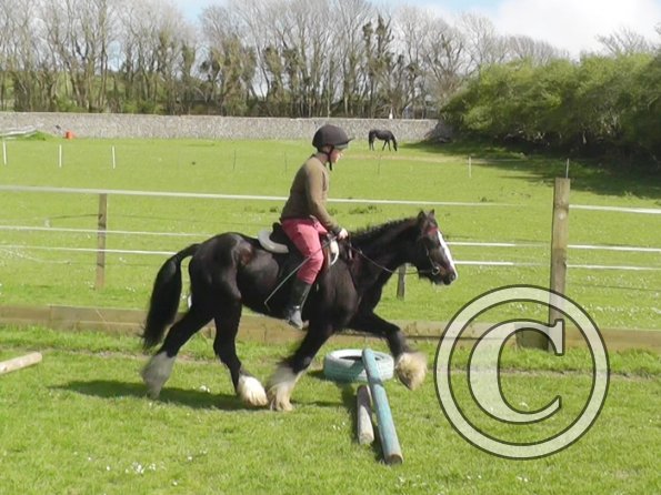 First jump clinic 2014 (17)