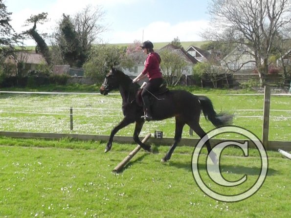 First jump clinic 2014 (18)