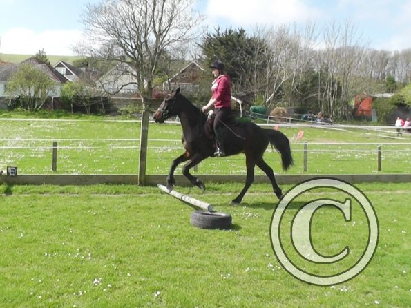 First jump clinic 2014 (19)