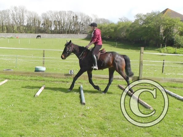 First jump clinic 2014 (2)