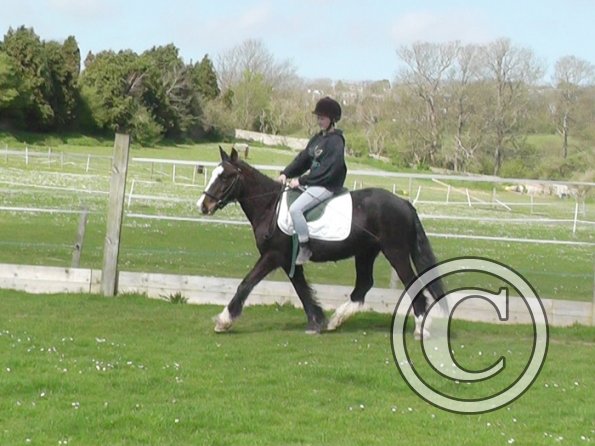 First jump clinic 2014 (20)