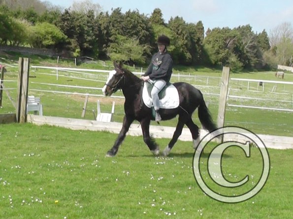 First jump clinic 2014 (21)