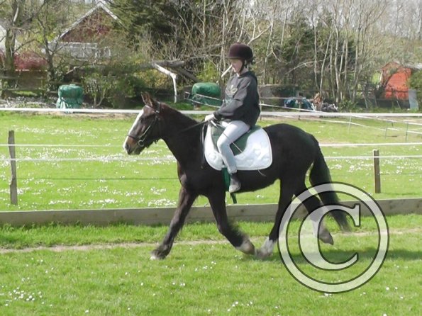 First jump clinic 2014 (22)