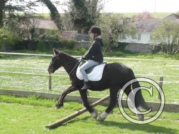 First jump clinic 2014 (23)