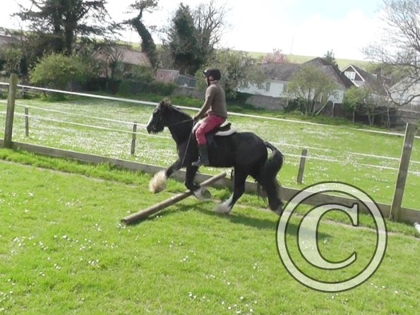 First jump clinic 2014 (24)