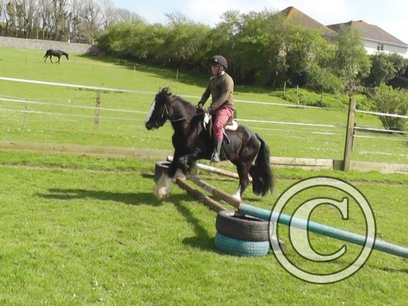 First jump clinic 2014 (25)