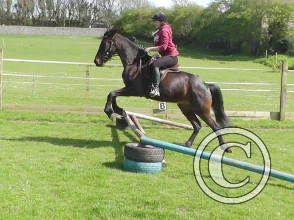 First jump clinic 2014 (28)