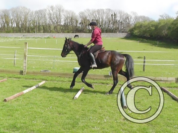 First jump clinic 2014 (3)