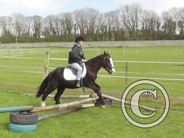 First jump clinic 2014 (31)