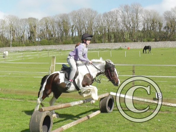 First jump clinic 2014 (34)