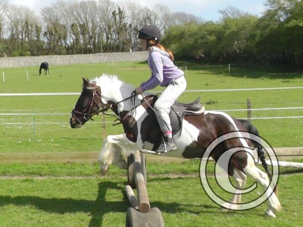 First jump clinic 2014 (35)