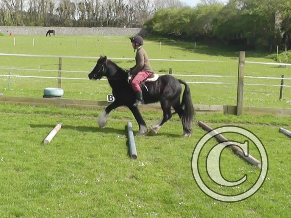 First jump clinic 2014 (4)