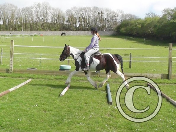 First jump clinic 2014 (5)