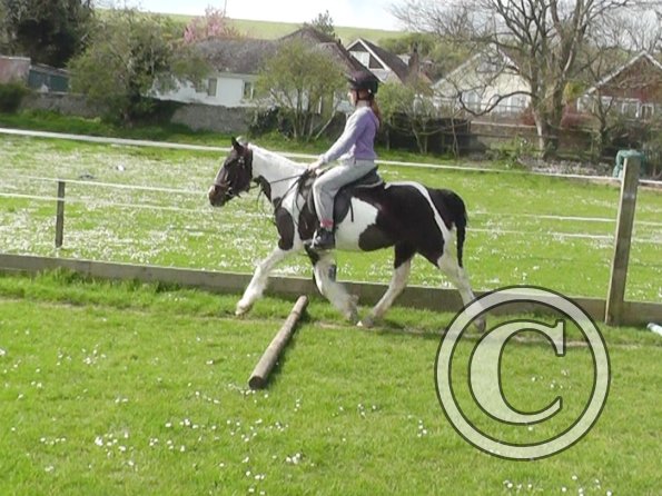 First jump clinic 2014 (6)